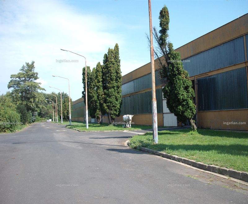 Ingatlan kép