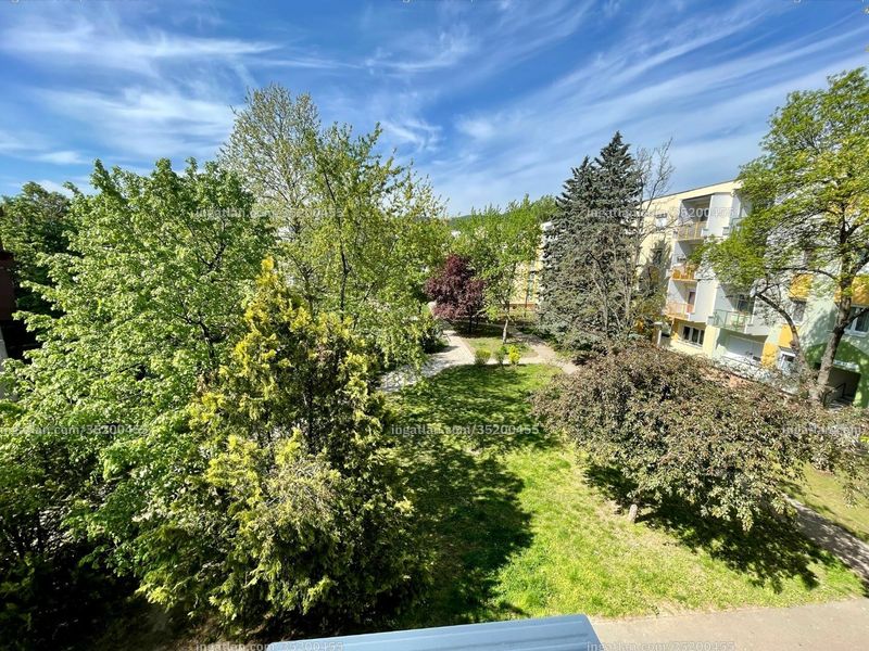 Foto auflisten