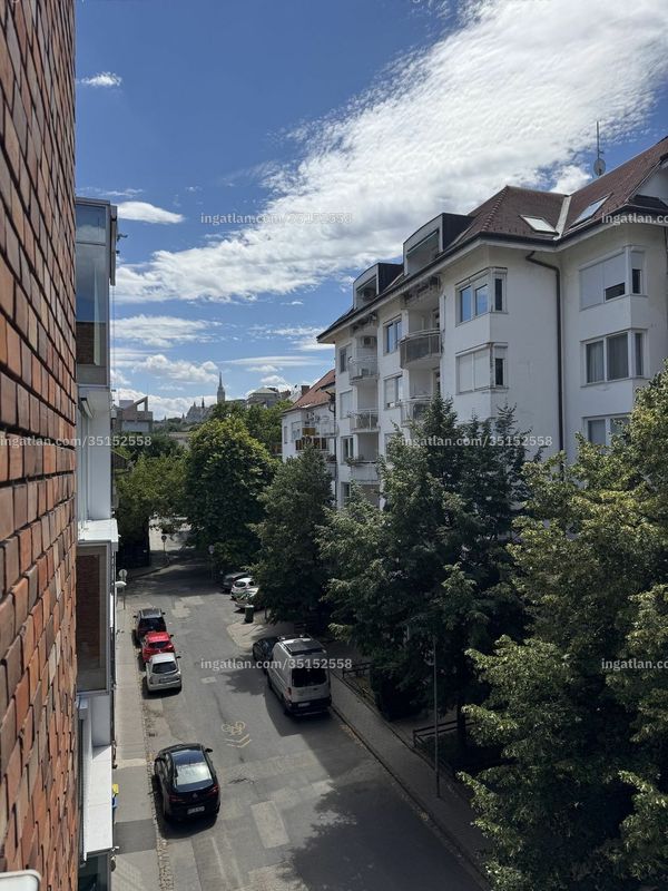 kilátás