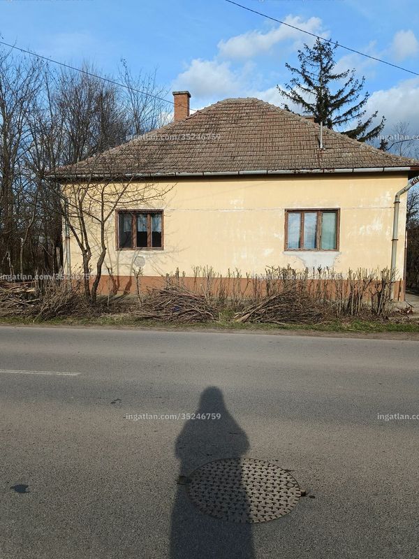 Foto auflisten