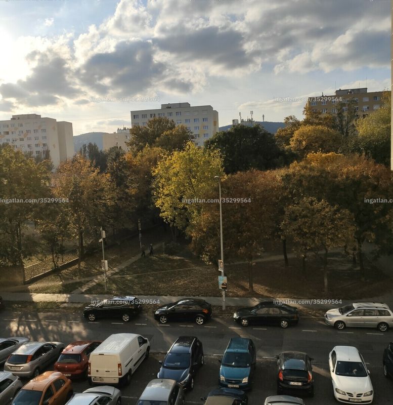 Foto auflisten