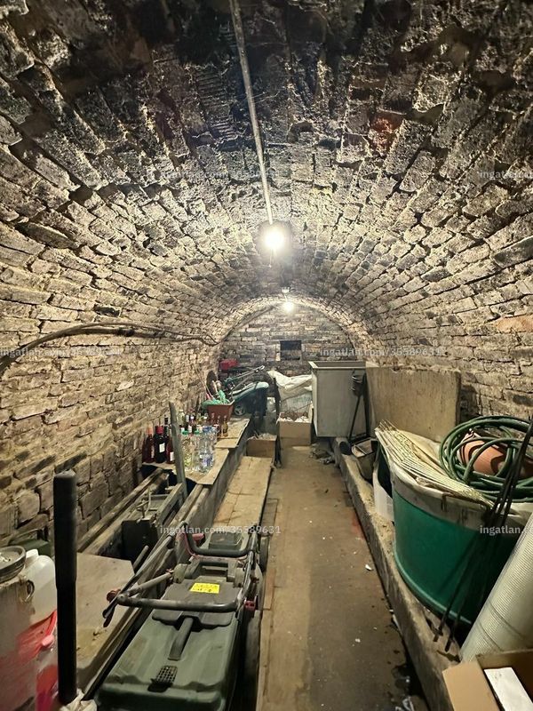 cellar