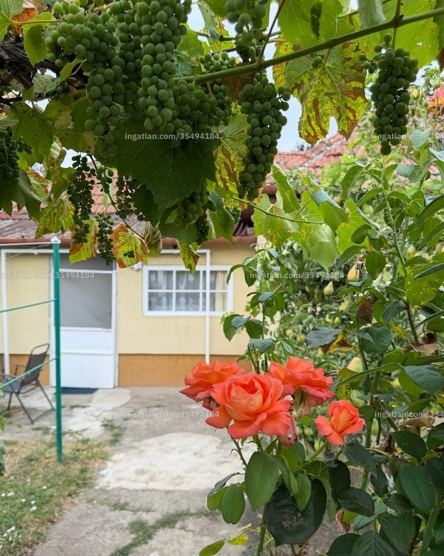 Foto auflisten