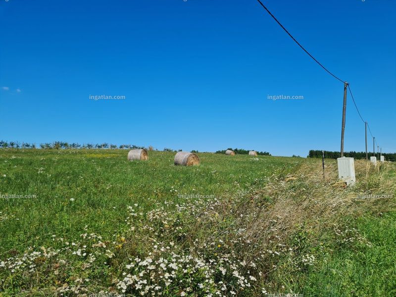 Foto auflisten