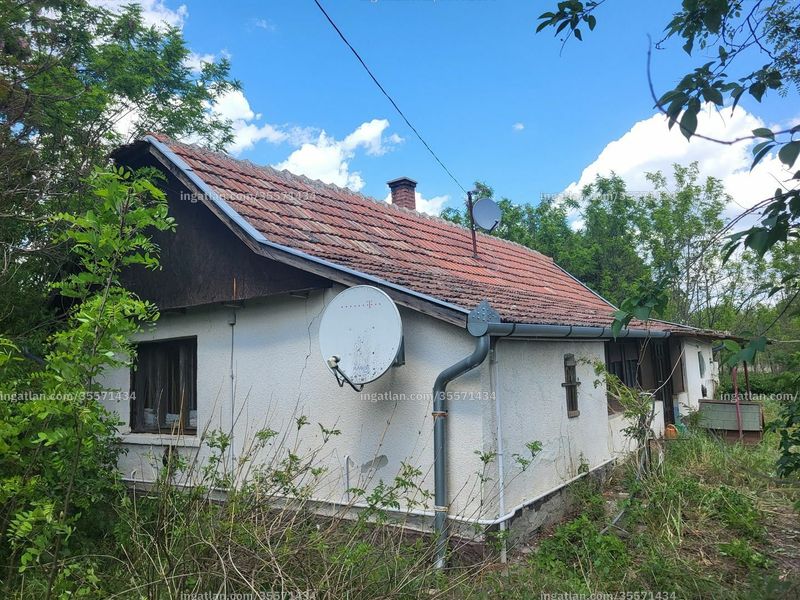 Ingatlan kép