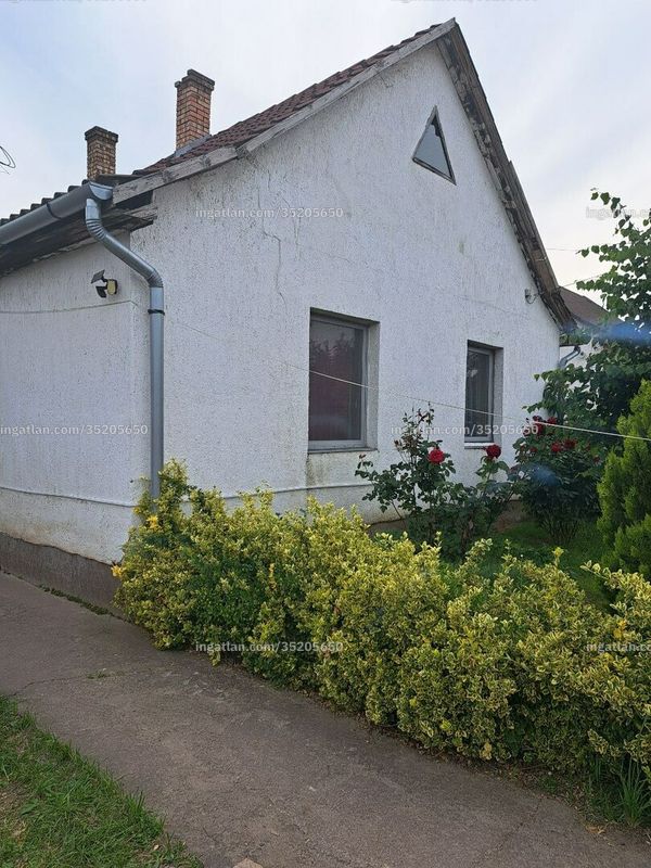 Ingatlan kép