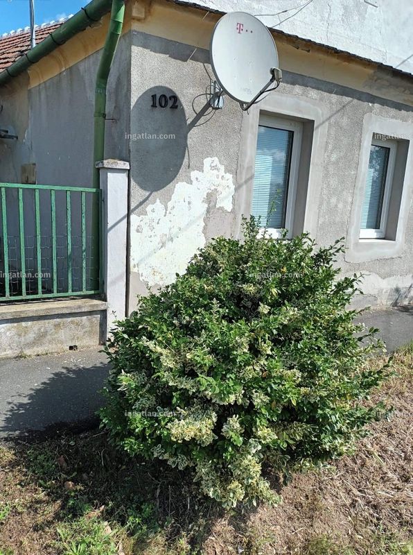 Foto auflisten