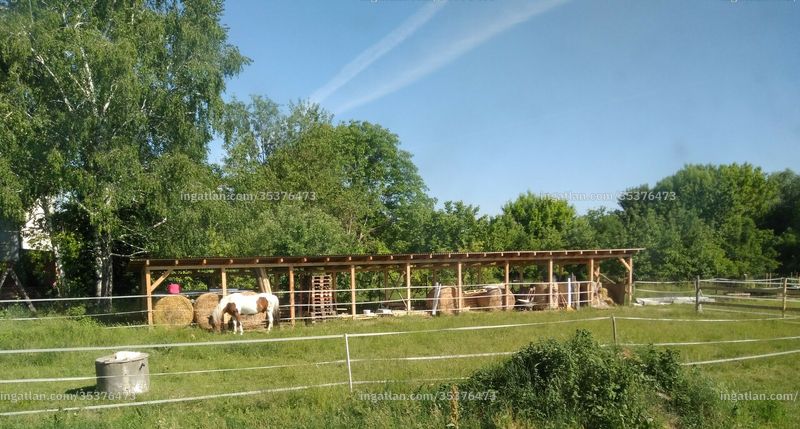 Bild über die Immobilie