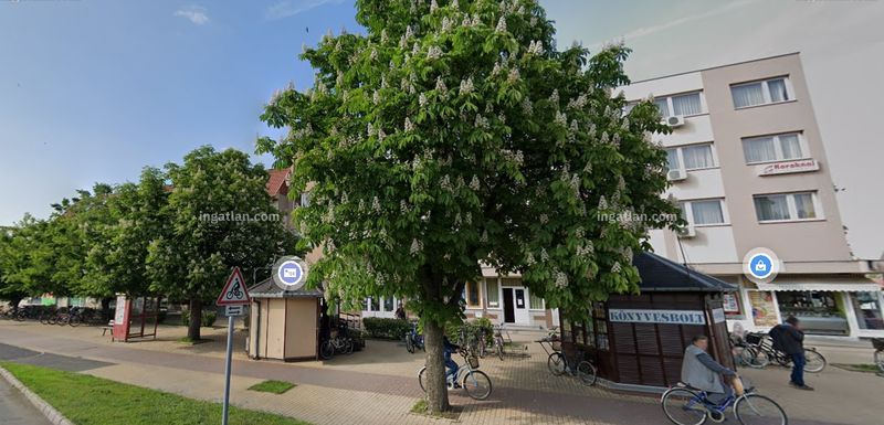 Foto auflisten