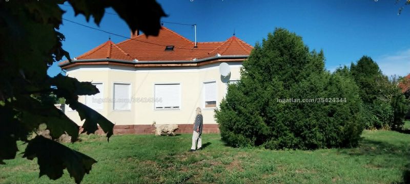 Kép az ingatlanról