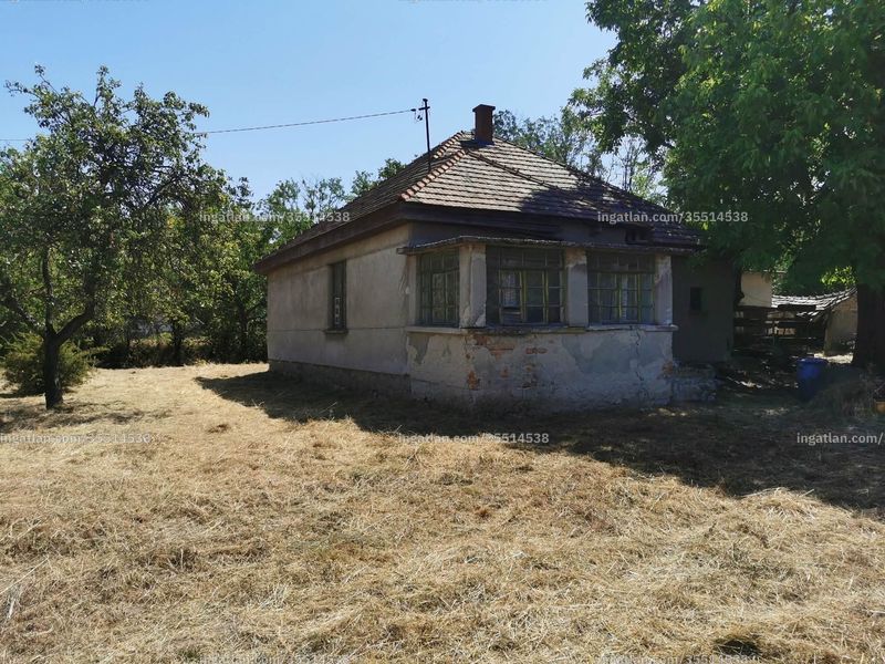 Kép az ingatlanról