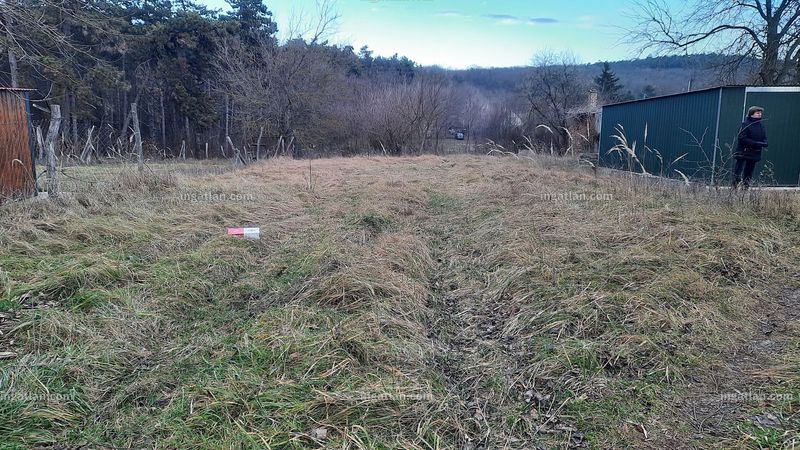Foto auflisten