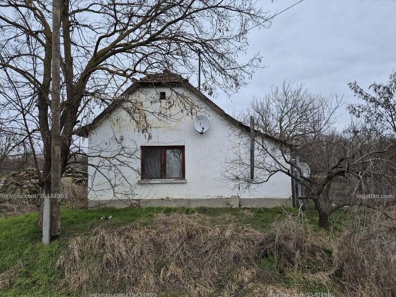 Hirdetés fotója