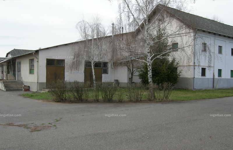 Ingatlan kép