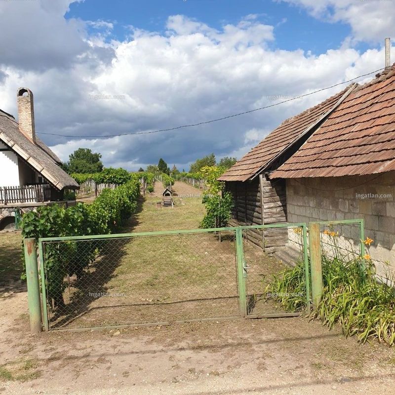 Foto auflisten