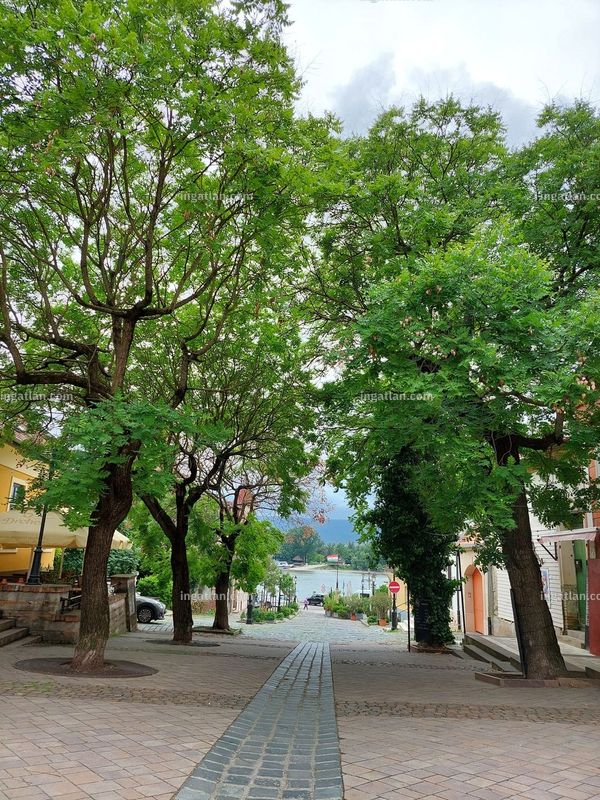 Foto auflisten