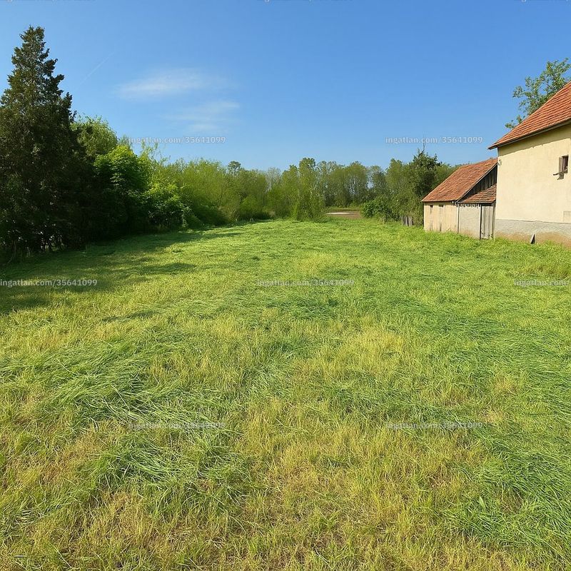 Foto auflisten