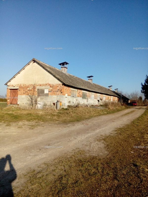 Foto auflisten