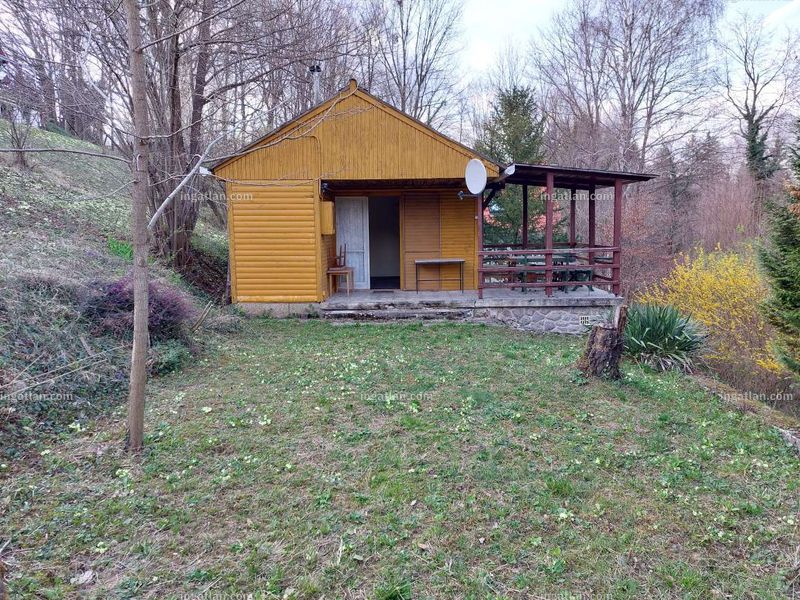 Foto auflisten