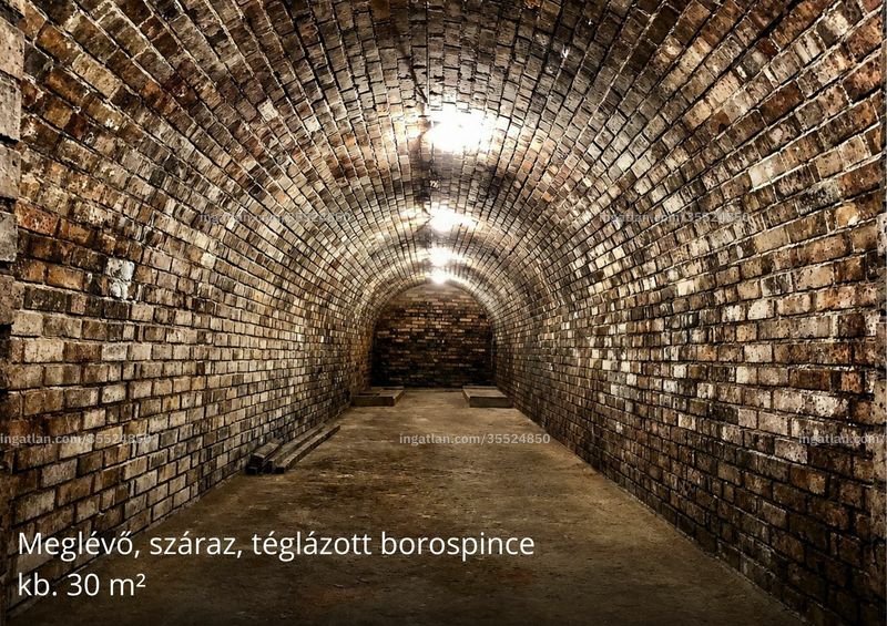 cellar