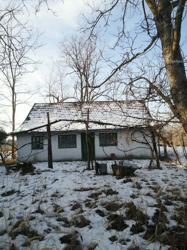 Foto auflisten