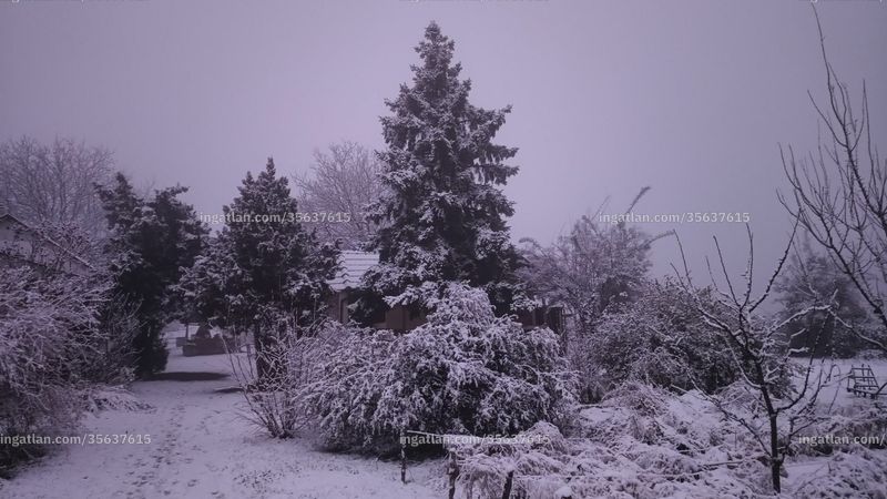 Foto auflisten