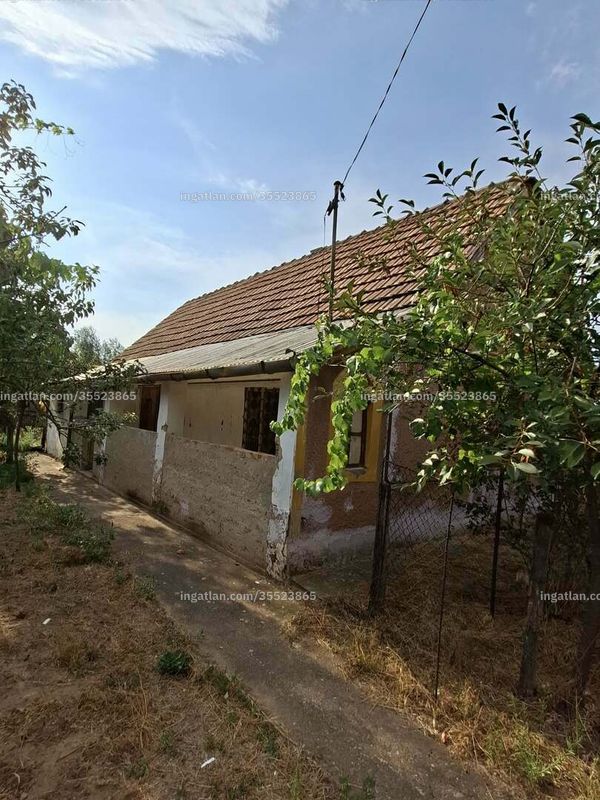 Ingatlan kép