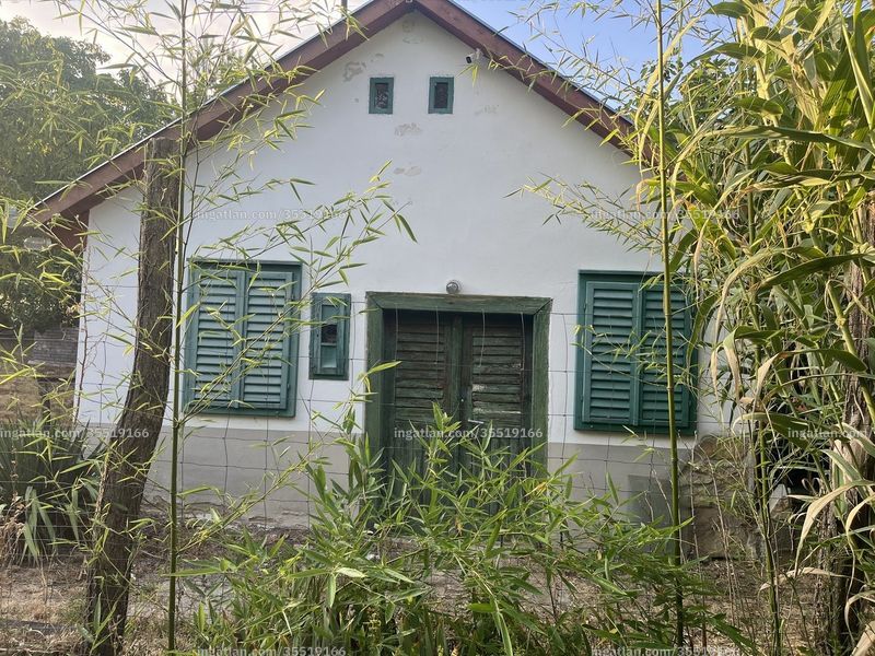 Ingatlan kép