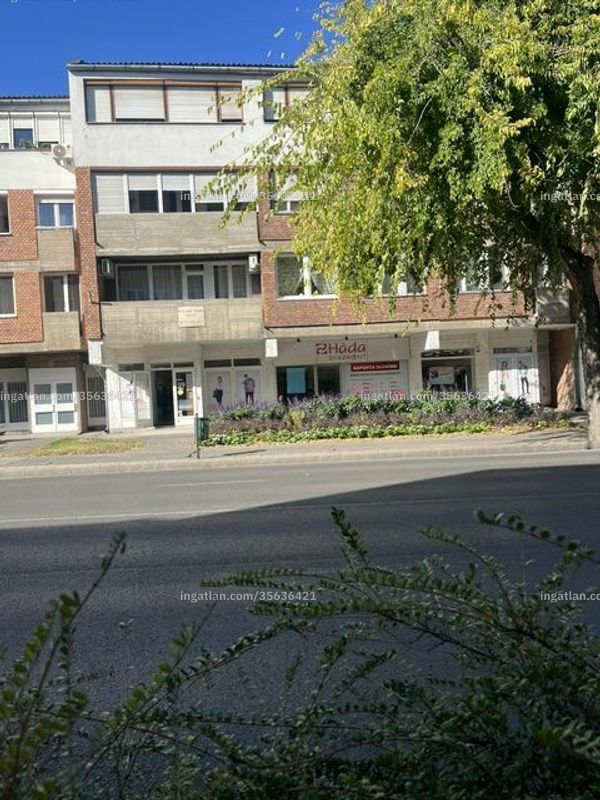 Foto auflisten
