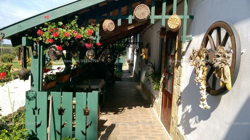 terrace