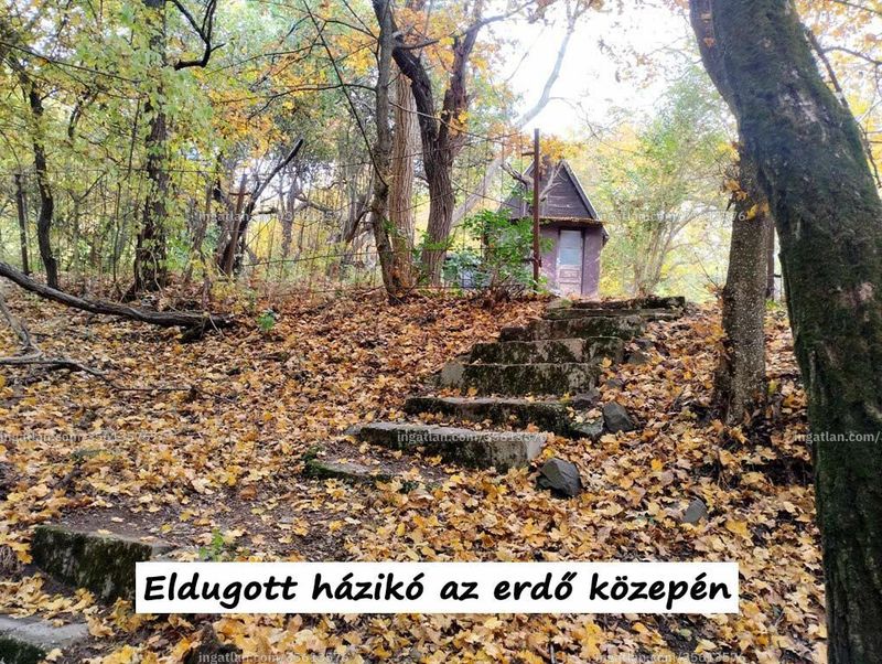 Foto auflisten