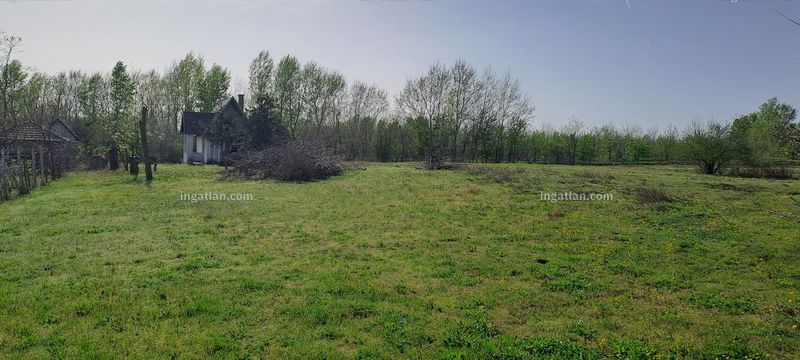 Foto auflisten