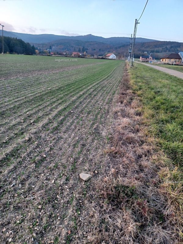 Foto auflisten