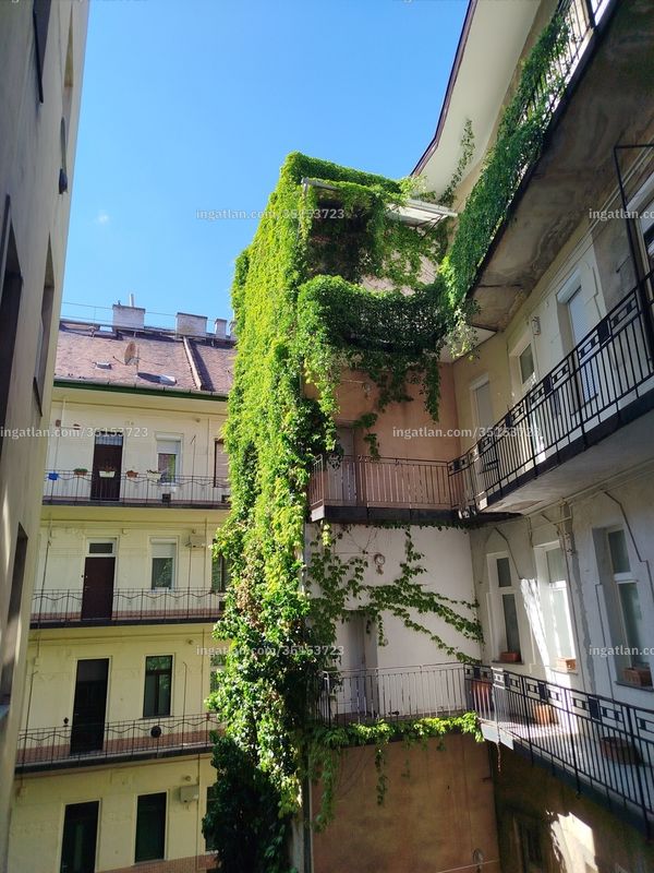 Foto auflisten