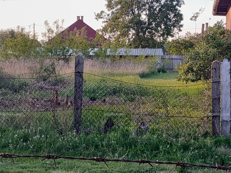 Foto auflisten