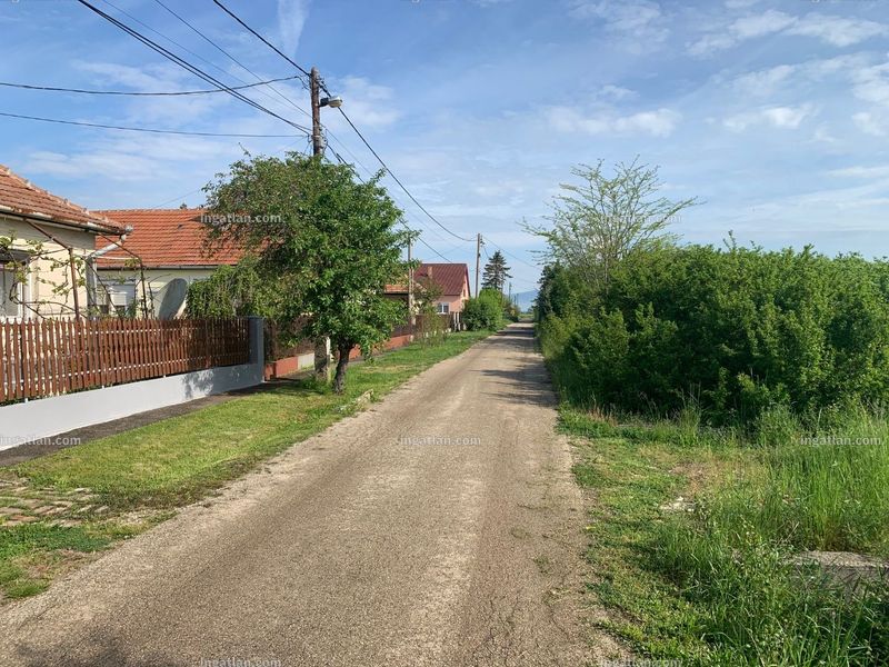 Foto auflisten