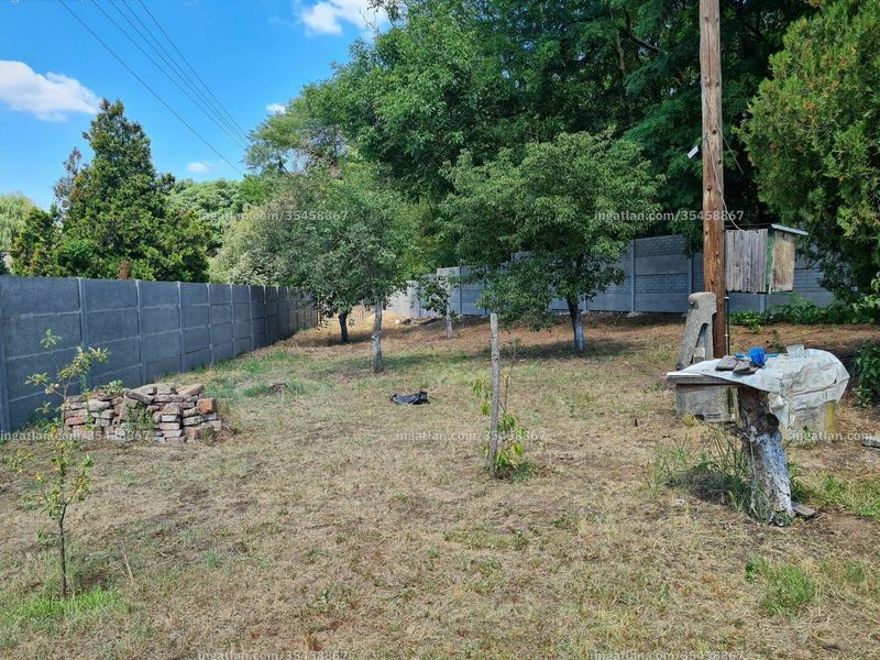 garden