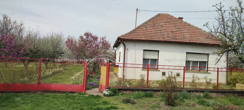 Ingatlan kép