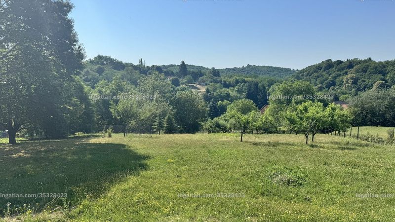 kilátás