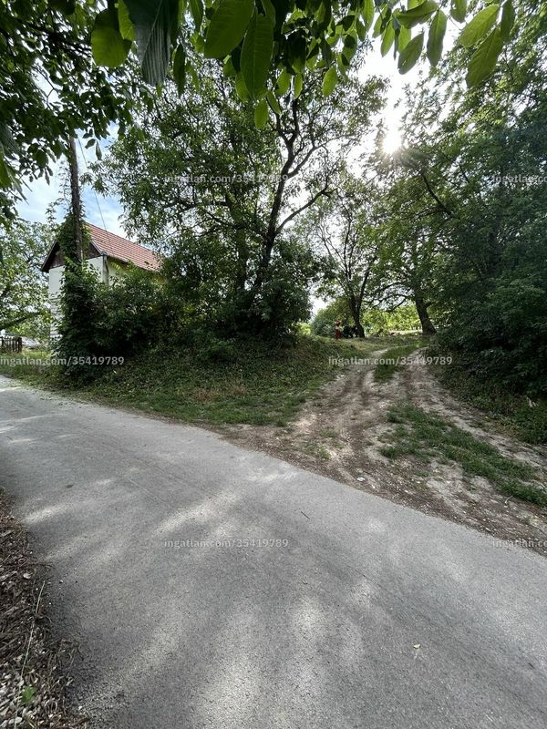 Foto auflisten