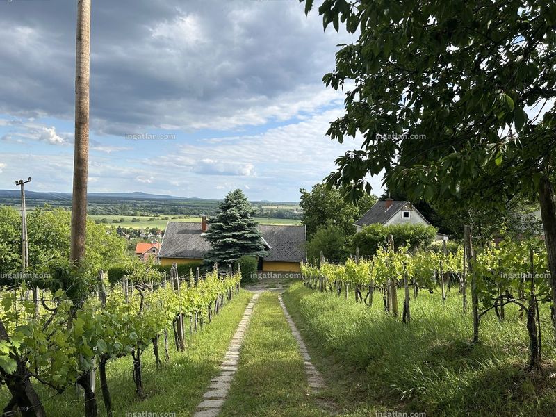 Aussicht