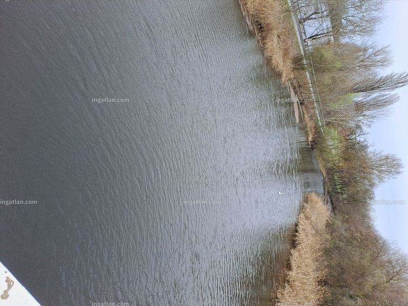 Foto auflisten