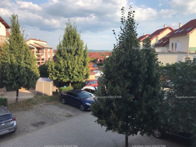 kilátás