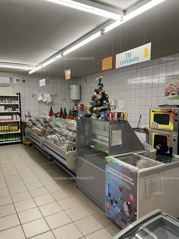 Kép az ingatlanról