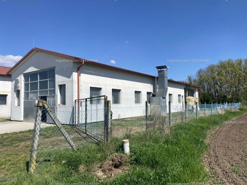Kép az ingatlanról