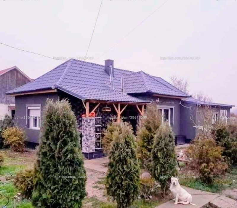 Ingatlan kép
