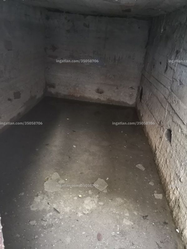 cellar