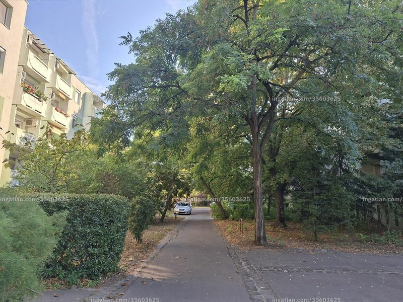 neighborhood