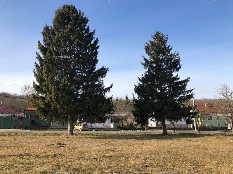 Foto auflisten