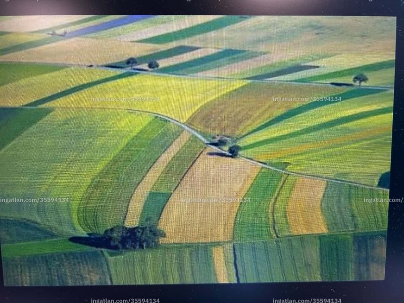 Foto auflisten